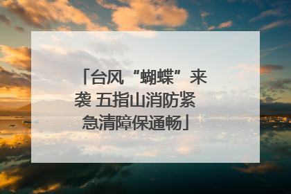 台风“蝴蝶”来袭 五指山消防紧急清障保通畅