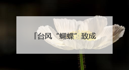 台风“蝴蝶”致成都直飞三亚航班全取消 三亚机场：13日晚大部分进港航班还未取消