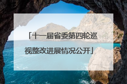 十一届省委第四轮巡视整改进展情况公开