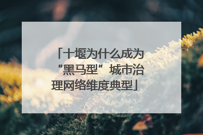 十堰为什么成为“黑马型”城市治理网络维度典型