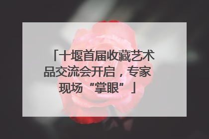 十堰首届收藏艺术品交流会开启，专家现场“掌眼”