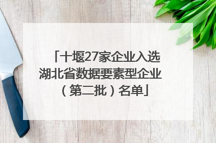 十堰27家企业入选湖北省数据要素型企业（第二批）名单