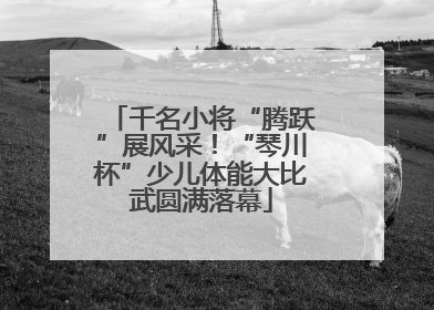 千名小将“腾跃”展风采！“琴川杯”少儿体能大比武圆满落幕
