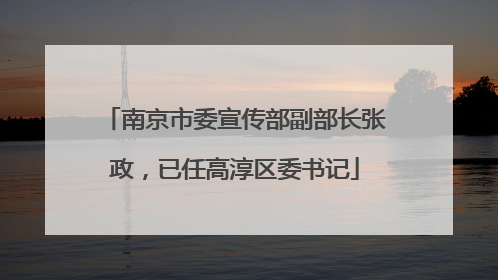 南京市委宣传部副部长张政，已任高淳区委书记