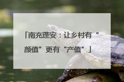 南充蓬安：让乡村有“颜值”更有“产值”