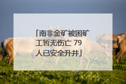 南非金矿被困矿工暂无伤亡 79人已安全升井