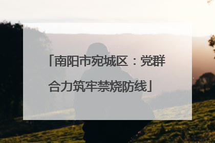 南阳市宛城区：党群合力筑牢禁烧防线