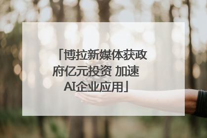 博拉新媒体获政府亿元投资 加速AI企业应用