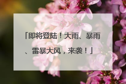 即将登陆！大雨、暴雨、雷暴大风，来袭！