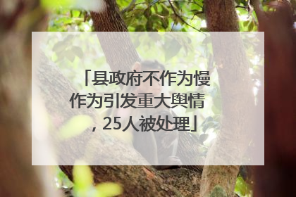 县政府不作为慢作为引发重大舆情，25人被处理