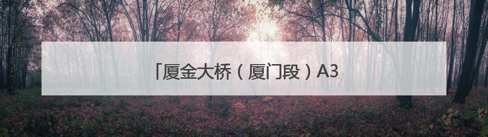 厦金大桥（厦门段）A3标首个预制墩台成功吊装