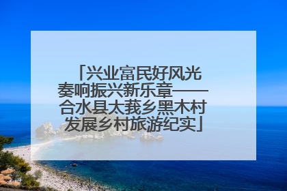 兴业富民好风光 奏响振兴新乐章——合水县太莪乡黑木村发展乡村旅游纪实