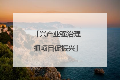 兴产业强治理 抓项目促振兴