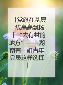党旗在基层一线高高飘扬丨“去有村的地方”——湖南有一群青年党员这样选择