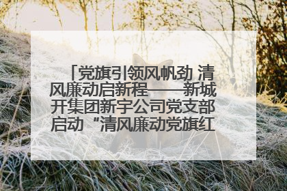 党旗引领风帆劲 清风廉动启新程——新城开集团新宇公司党支部启动“清风廉动党旗红”系列活动