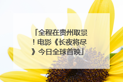 全程在贵州取景！电影《长夜将尽》今日全球首映