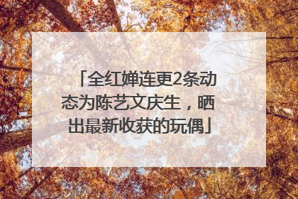 全红婵连更2条动态为陈艺文庆生，晒出最新收获的玩偶