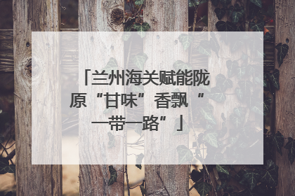 兰州海关赋能陇原“甘味”香飘“一带一路”