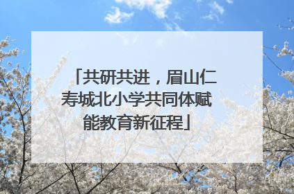 共研共进，眉山仁寿城北小学共同体赋能教育新征程