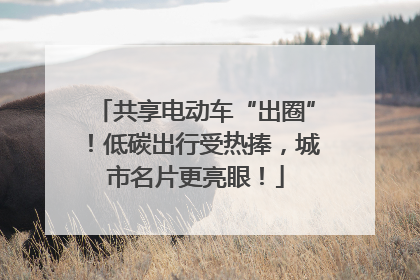 共享电动车“出圈”！低碳出行受热捧，城市名片更亮眼！