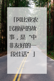 冈比亚农民穆萨的故事，是“中非友好的一段佳话”