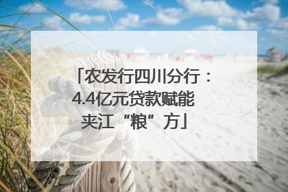 农发行四川分行：4.4亿元贷款赋能夹江“粮”方