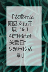 农发行岳阳县支行开展“6·14信用记录关爱日” 专题宣传活动