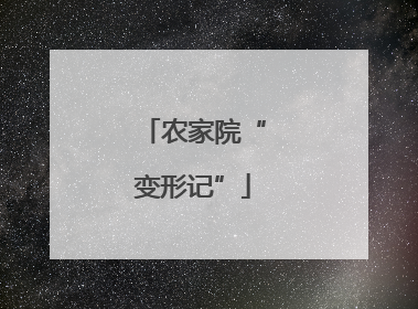 农家院“变形记”