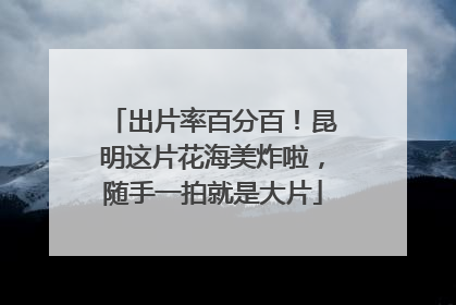 出片率百分百！昆明这片花海美炸啦，随手一拍就是大片