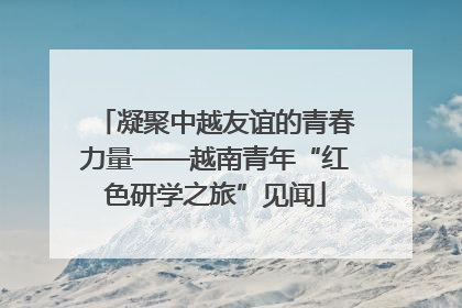 凝聚中越友谊的青春力量——越南青年“红色研学之旅”见闻