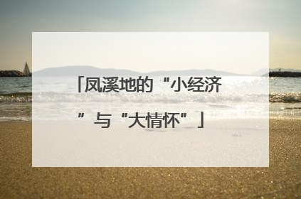 凤溪地的“小经济”与“大情怀”