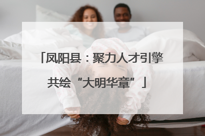 凤阳县：聚力人才引擎 共绘“大明华章”