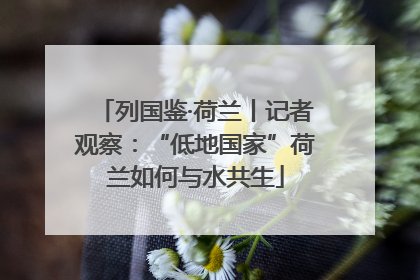 列国鉴·荷兰丨记者观察：“低地国家”荷兰如何与水共生