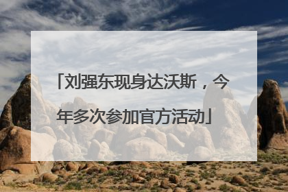 刘强东现身达沃斯，今年多次参加官方活动
