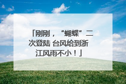 刚刚，“蝴蝶”二次登陆 台风给到浙江风雨不小！