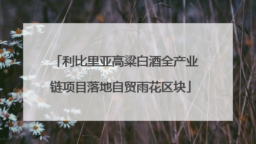 利比里亚高粱白酒全产业链项目落地自贸雨花区块