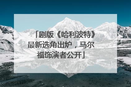 剧版《哈利波特》最新选角出炉，马尔福饰演者公开