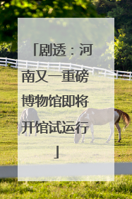 剧透：河南又一重磅博物馆即将开馆试运行