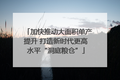 加快推动大面积单产提升 打造新时代更高水平“洞庭粮仓”