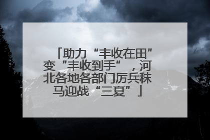 助力“丰收在田”变“丰收到手”，河北各地各部门厉兵秣马迎战“三夏”