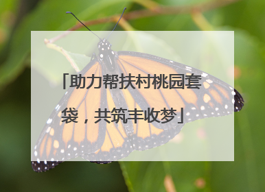 助力帮扶村桃园套袋，共筑丰收梦