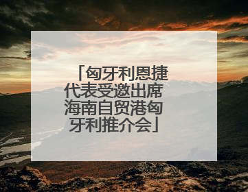 匈牙利恩捷代表受邀出席海南自贸港匈牙利推介会