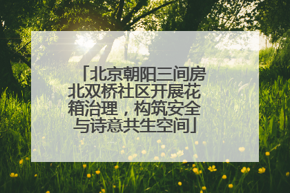 北京朝阳三间房北双桥社区开展花箱治理，构筑安全与诗意共生空间