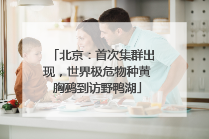 北京：首次集群出现，世界极危物种黄胸鹀到访野鸭湖