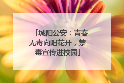 城阳公安：青春无毒向阳花开，禁毒宣传进校园