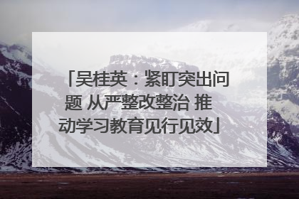 吴桂英：紧盯突出问题 从严整改整治 推动学习教育见行见效