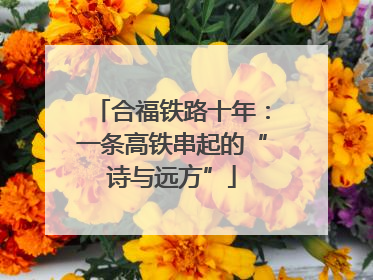 合福铁路十年：一条高铁串起的“诗与远方”