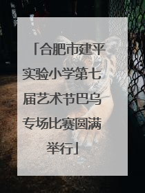 合肥市建平实验小学第七届艺术节巴乌专场比赛圆满举行