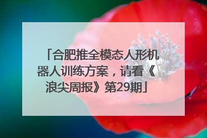 合肥推全模态人形机器人训练方案，请看《浪尖周报》第29期