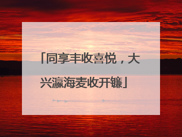 同享丰收喜悦，大兴瀛海麦收开镰